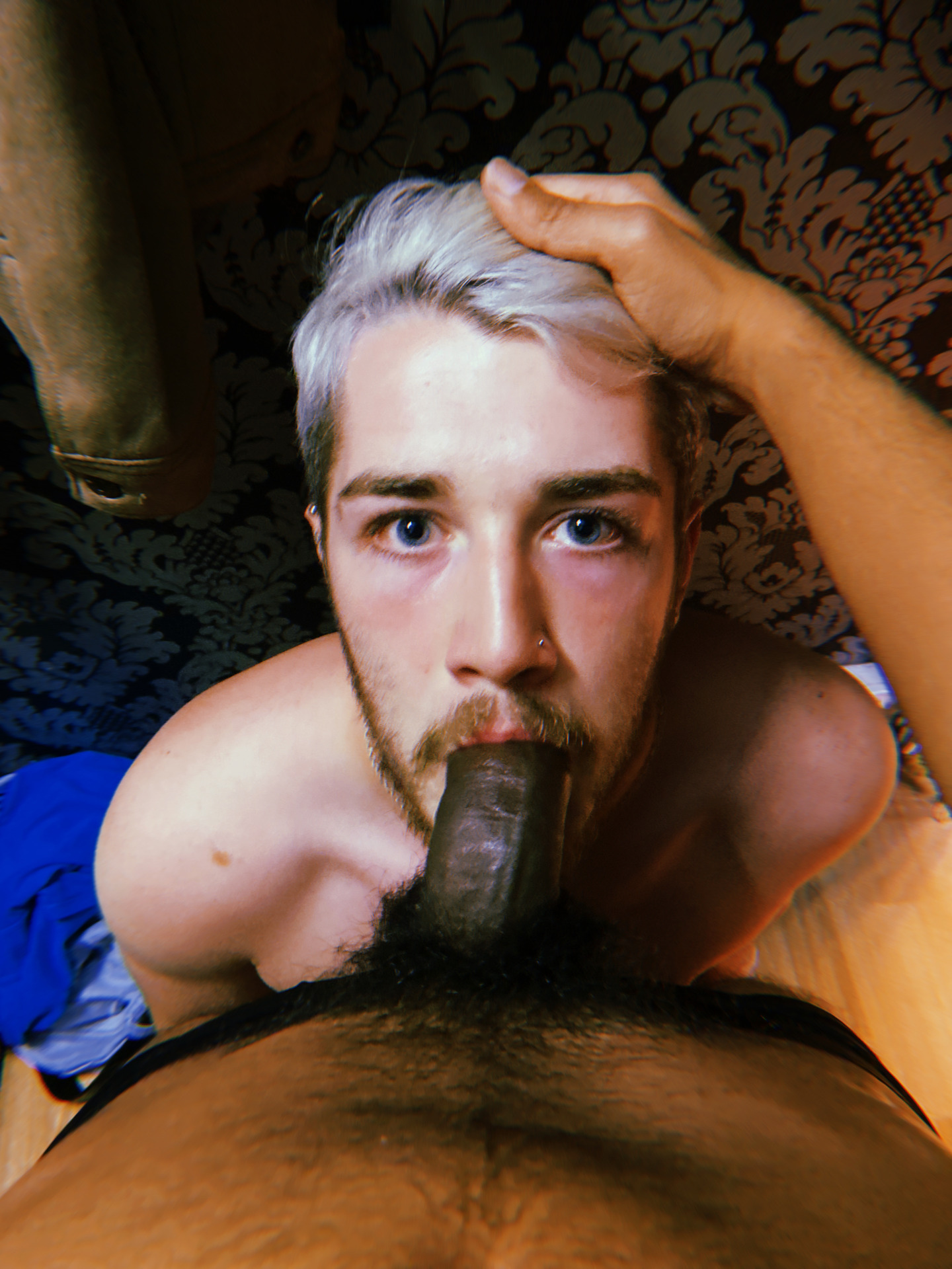 IMG_20220216041924413