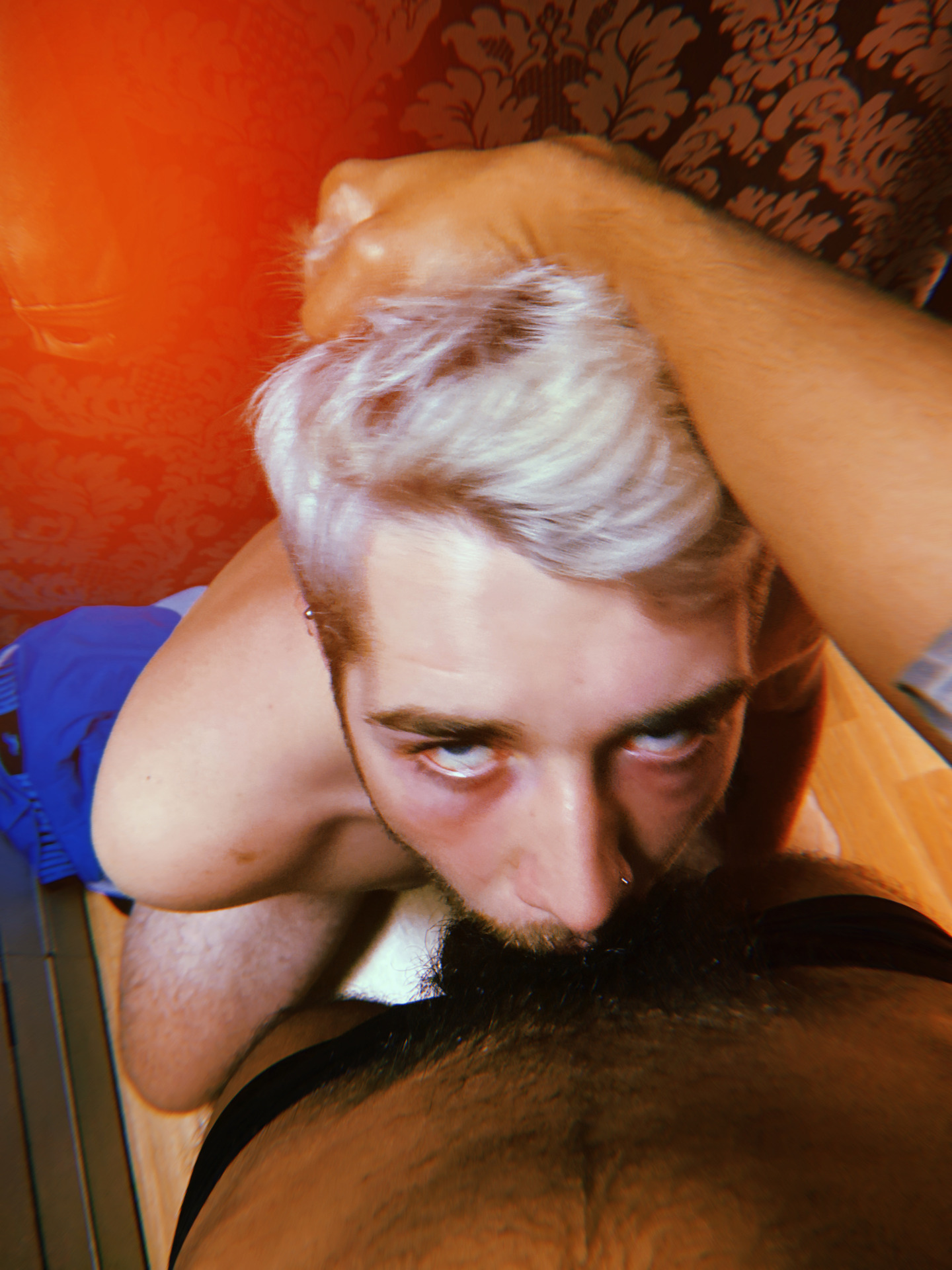 IMG_20220216041924423